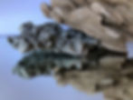 Rocks